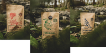 Load image into Gallery viewer, Triple jerky (50g) mix - Free postage